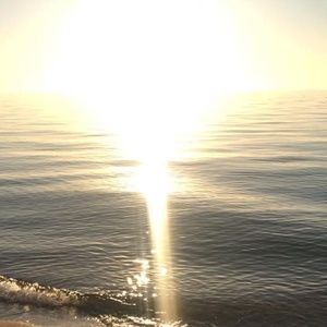 Meet your Posher, Alina